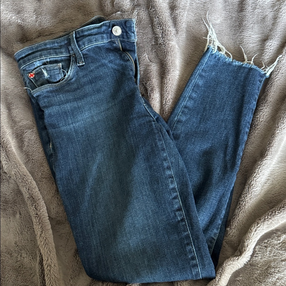 Hudson Jeans Classic Blue Denim